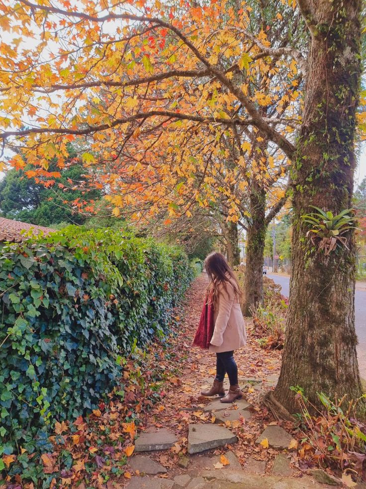 Av. Borges de Medeiros Gramado, ruas charmosas com arquitetura europeia para fotos.